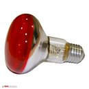 10 x OSRAM Reflektor Glühbirne R80 60W Rot E27 Glühlampe Concentra Spot Color