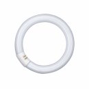 GE Leuchtstofflampe Ringform T9 L 20W/841 G10q 800lm...