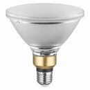 Osram LED Leuchtmittel Reflektor PAR38 12W = 120W E27...