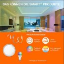 Ledvance LED Smart+ Panel Planon Frameless Weiß 60x30cm 28W 2100lm CCT 3000K-6500K Dimmbar App Google Alexa WiFi