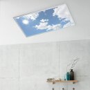 Wofi LED Deckenleuchte Aufbaupanel Liv Silber Himmel 120x60cm 50W 4000lm CCT 2800K-6800K Dimmbar mit Fernbedienung