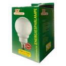 TS Electronic Energiesparlampe Globe G90 15W = 75W E27...