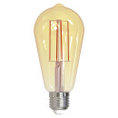 Müller-Licht LED Filament ST64 Edison 7W = 51W E27...