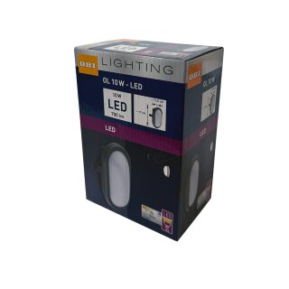 Emil Lux LED Außenwandleuchte Lightning Anthrazit IP44 10W 700lm Neutralweiß 4000K 