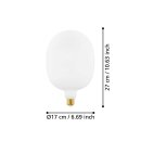 Eglo LED Filament Leuchtmittel Big Size Oval E170 4W =...