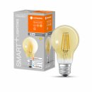 Ledvance LED Smart+ Filament A60 Birne 6W = 53W E27 Gold...