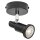 Ledvance LED Deckenleuchte Wandlampe Spot Schwarz 3,4W GU10 230lm Warmweiß 2700K Dimmbar