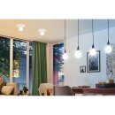 Paulmann Smart LED Birne A60 9W = 61W E27 matt 820lm CCT 2700K-6500K Dimmbar ZigBee