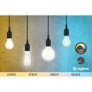 Paulmann Smart LED Birne A60 9W = 61W E27 matt 820lm CCT 2700K-6500K Dimmbar ZigBee